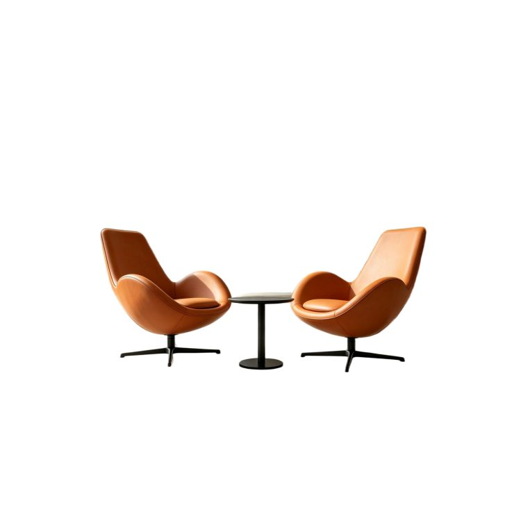 Modern Italy Household Living Room and Bedroom Furniture Classic Armchairsviwel Sofa Swivel Armchair