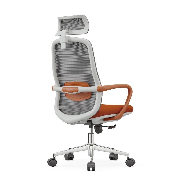 Cost-Effective Modern Ergonomic Adjustable Mesh Office Chair with 2D Headrest for Home Office