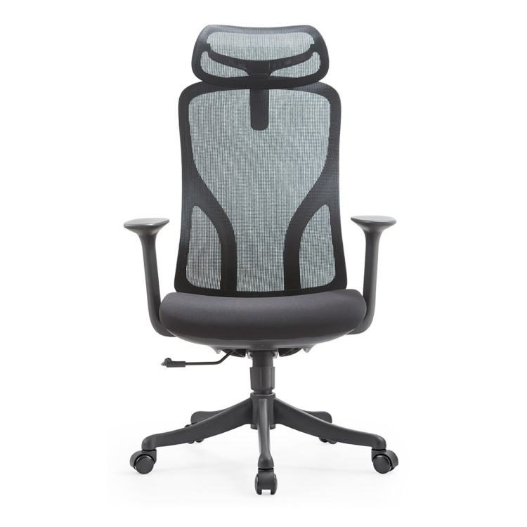 Ergonomic Adjustable Mesh Office Chair with Large Headrest In-Situation Locking-Modern Design Nylon Material Home Office Use
