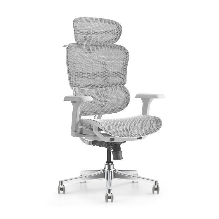 Modern Ergonomic Office Chair with Adjustable 4D Armrest and 5D Multifunctional Headrest-Home Office Furniture