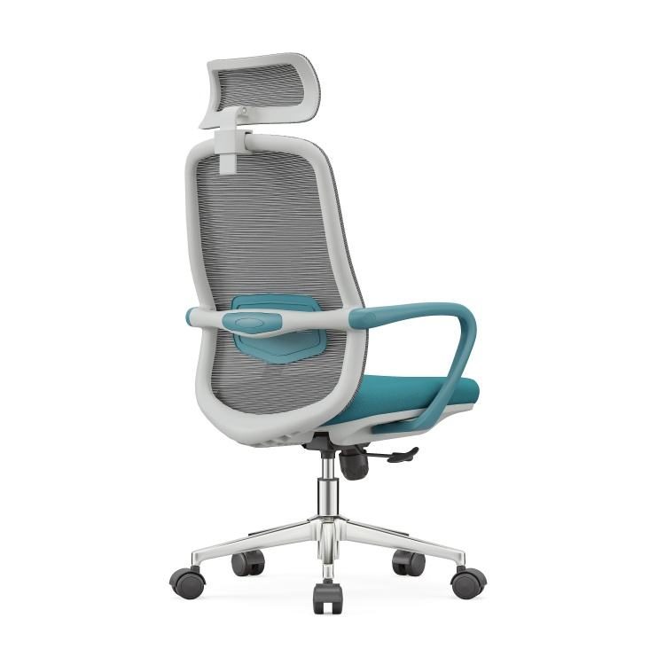Cost-Effective Modern Ergonomic Adjustable Mesh Office Chair with 2D Headrest for Home Office